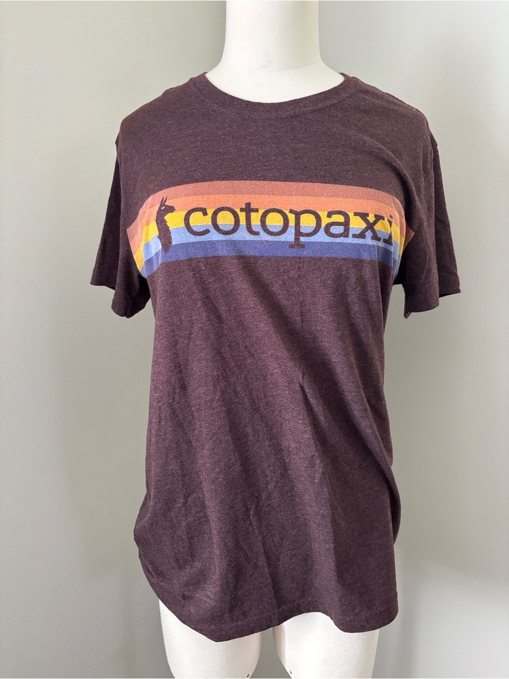 Cotopaxi Women's Short-Sleeve Logo Tee in Maroon Sz M